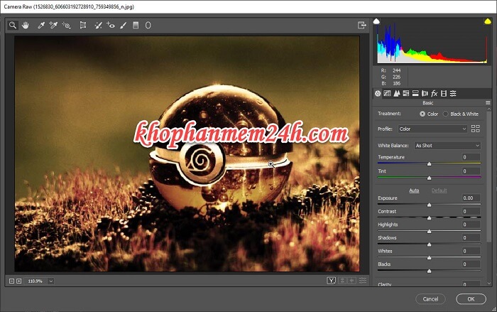 adobe camera raw 9.0