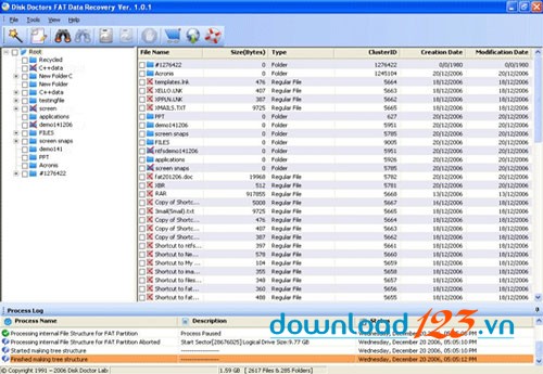 Disk Doctors FAT Data Recovery