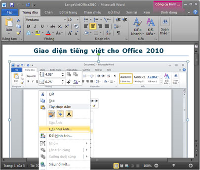 Microsoft Office Language Interface Pack 2010