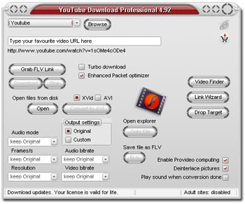 YouTube Download Professional 4.92